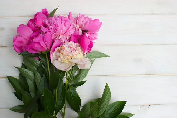 Çok güzel peonies ahşap arka plan üzerinde renkli
