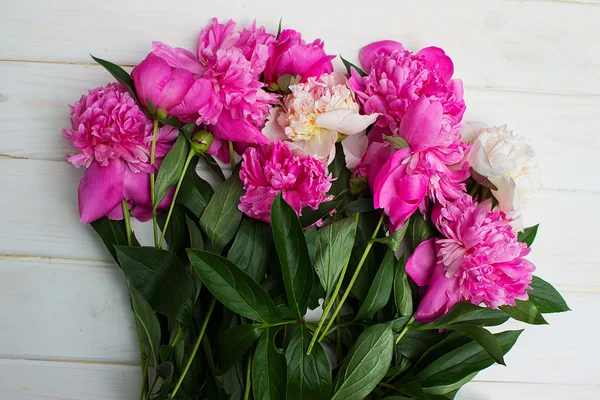 Many beautiful colored peonies on wooden background — Stock Photo, Image