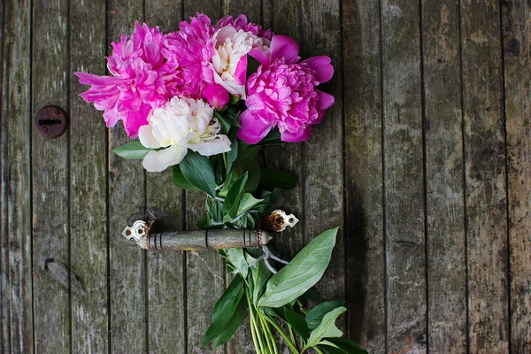 Many beautiful colored peonies on wooden background — Stock Photo, Image