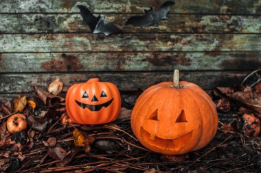 Cadılar Bayramınız Kutlu Olsun. Tatil balkabağına ve dekorasyonlar. Kabak üzerinde sonbahar sokak.