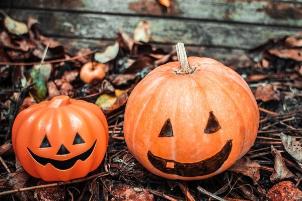 Cadılar Bayramınız Kutlu Olsun. Tatil balkabağına ve dekorasyonlar. Kabak üzerinde sonbahar sokak.