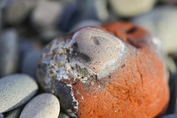 De steen van de kleuren op het strand. — Stockfoto