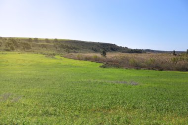 Yumuşak ışık, çayır yatay