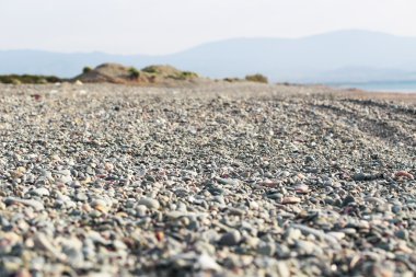 Kıbrıs sahilde çakıl