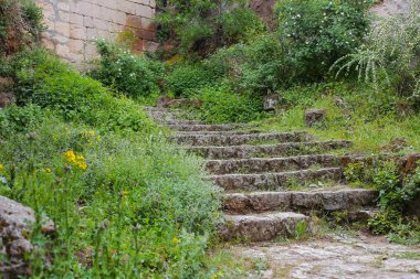 Eski merdivenler ve merdiven Kapadokya