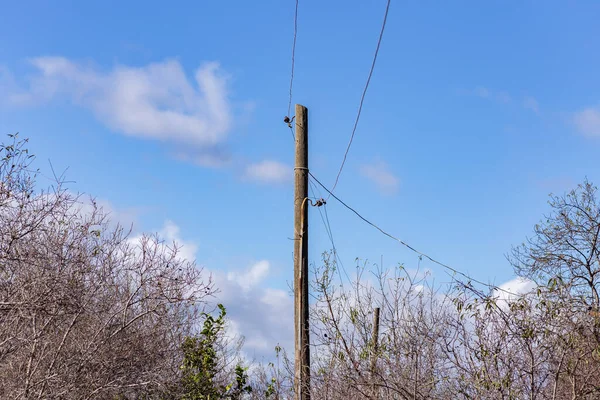 Alter Strommast Und Blauer Himmel Der Türkei — Stockfoto