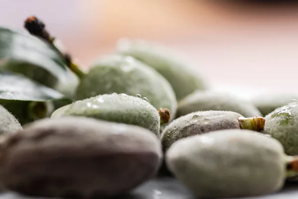 Fresh Green Almonds Close Plate — Stock Photo, Image