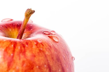 Beyaz arkaplanı olan tek bir elma üzerine su damlaları.
