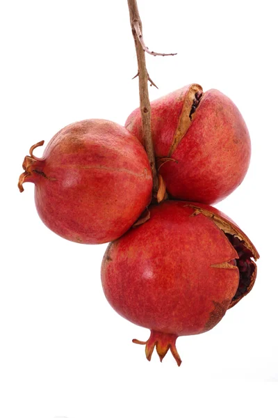 Tři z granátového jablka na bílém pozadí — Stock fotografie