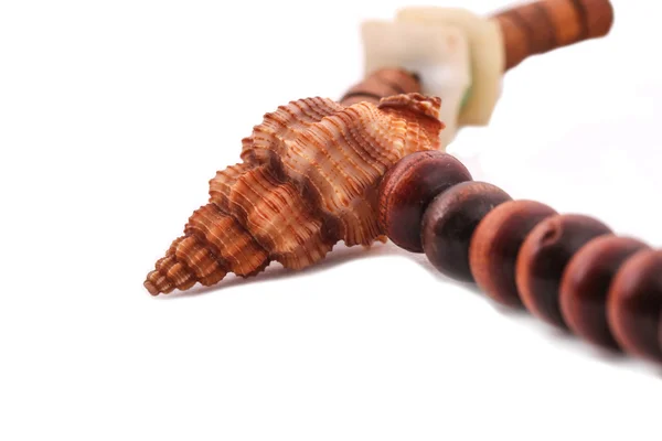 Shell with wood beads on the white background — Stock Photo, Image