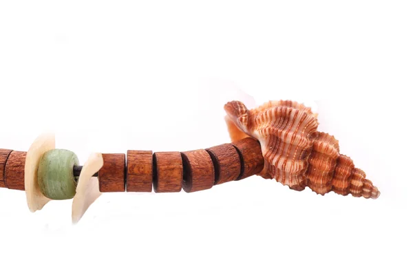 Shell with wood beads on the white background — Stock Photo, Image