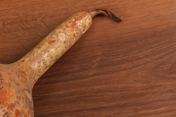 The Old Pumpkin on the wood — Stock Photo, Image