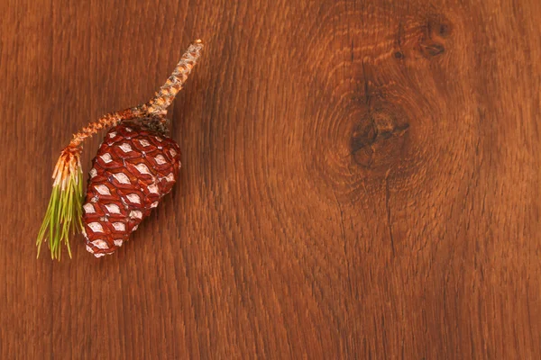 The pine cone on the wood — Stock Photo, Image