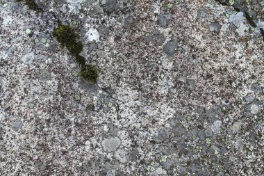 Dokulu doğal Binası