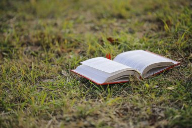 çimenlerin üzerinde kitap açık