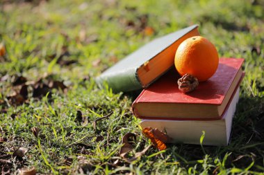 Kitap ve sağlıklı gıdalar
