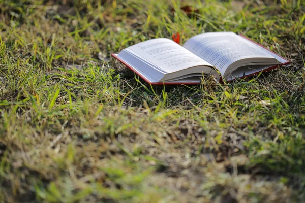 Open boek op het gras — Stockfoto