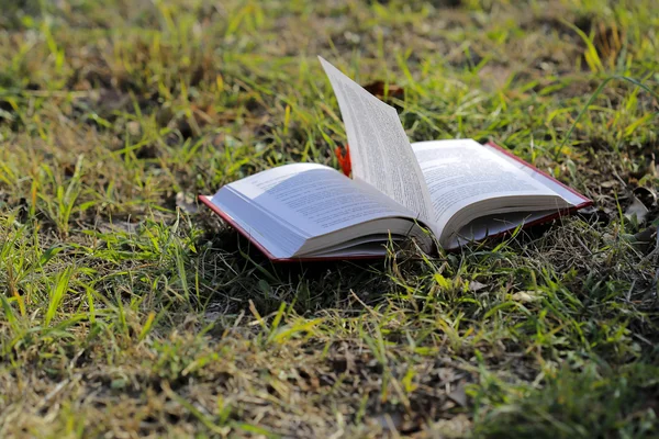 Open boek op het gras — Stockfoto