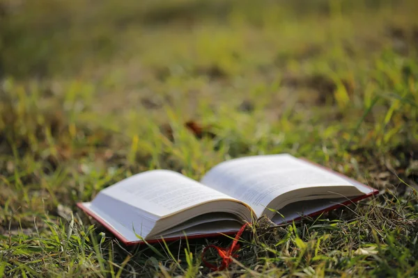 Buch im Gras aufschlagen — Stockfoto