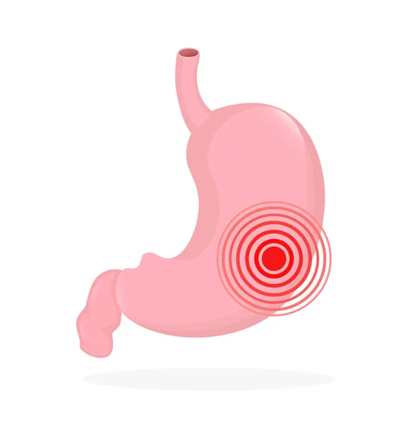 Organ perut. Ilustrasi vektor kartun datar. Konsep layanan kesehatan. Ikon vektor terisolasi. Organ manusia diisolasi pada latar belakang putih. - Stok Vektor