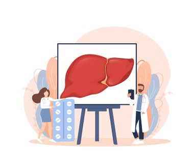 Tıbbi tasarım için beyaz zemin üzerinde karaciğer olan düz çizimler. Çizgi film tarzında karakterler. Vektör hepatik sistem organı, sindirim safra kesesi organı.