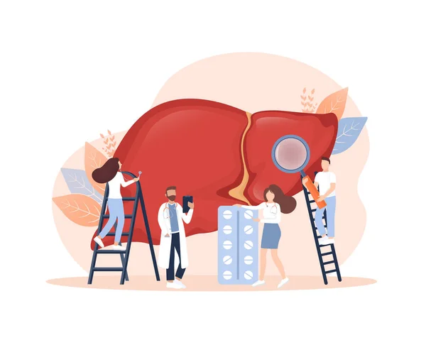 Ilustrasi datar dengan hati di latar belakang putih untuk desain medis. Karakter-karakter dalam gaya kartun. Organ sistem hepatic vektor, organ kandung empedu pencernaan. - Stok Vektor