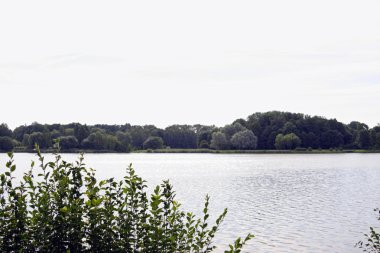 Çalılar yaz görünüşünü nehrin diğer tarafında