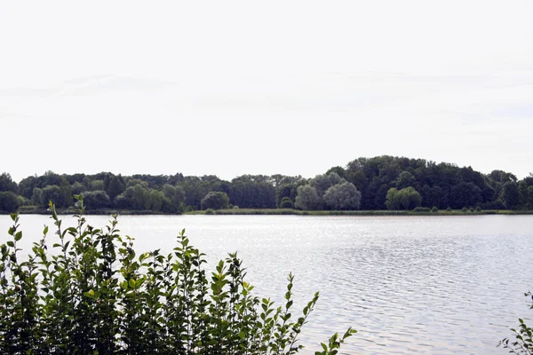 Standpunten van de zomer door middel van de struiken aan de andere kant van de rivier — Stockfoto