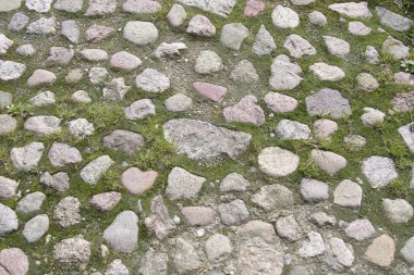 Çim ve moss ile antik taş döşeme dokusuna