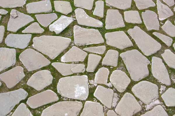 Texture of the pavement with gray, white stones and moss — Stock Photo, Image