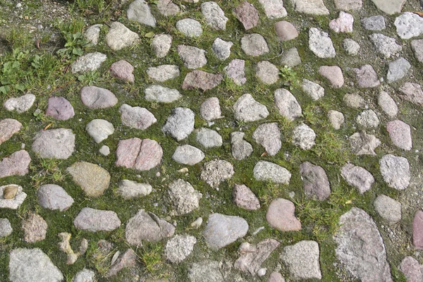 La textura del pavimento de piedra cubierta de musgo — Foto de Stock