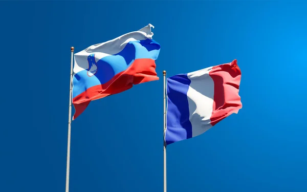 Bellissime Bandiere Nazionali Stato Francia Slovenia Insieme Sullo Sfondo Del — Foto Stock