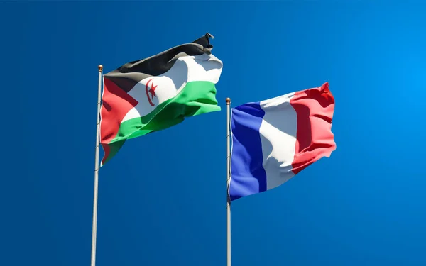 Gyönyörű Nemzeti Zászlók Szahrawi Arab Demokrata Franciaország Együtt Hátterében Művészeti — Stock Fotó