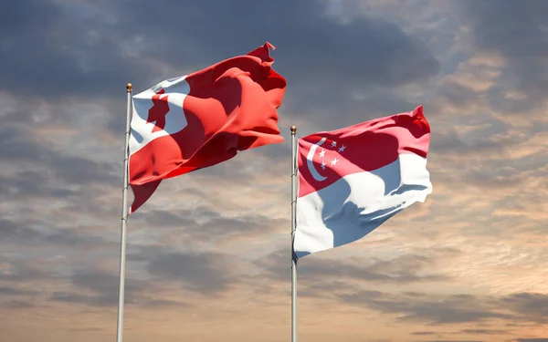 Hermosas Banderas Estatales Nacionales Tonga Singapur Juntas Fondo Del Cielo — Foto de Stock