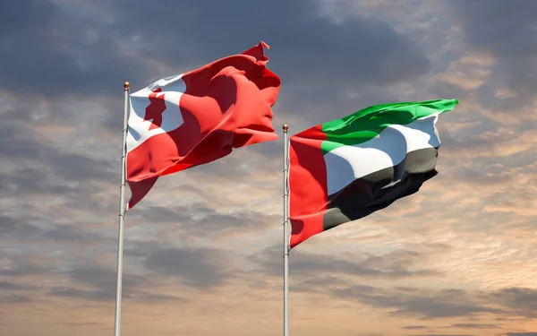 Beautiful National State Flags Tonga Uae United Arab Emirates Together — Stock Photo, Image