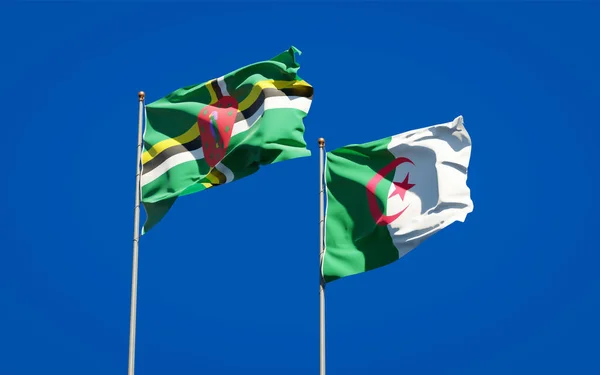 Όμορφες Εθνικές Σημαίες Της Αλγερίας Και Της Δομινίκας Μαζί Στο — Φωτογραφία Αρχείου