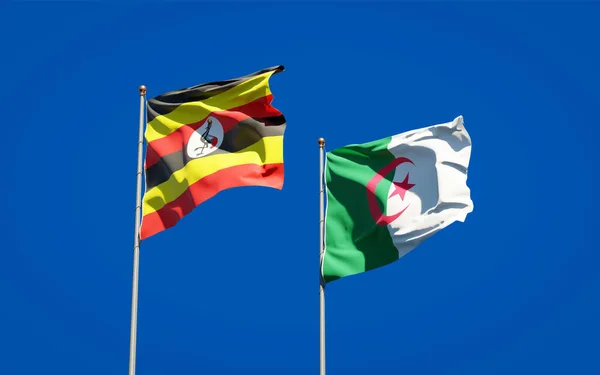 Gyönyörű Nemzeti Zászlók Uganda Algéria Együtt Hátterében Művészeti Koncepció — Stock Fotó