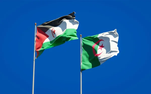 Sahra Cezayir Güzel Ulusal Bayrakları Gökyüzü Arka Planında Birlikte Sanat — Stok fotoğraf
