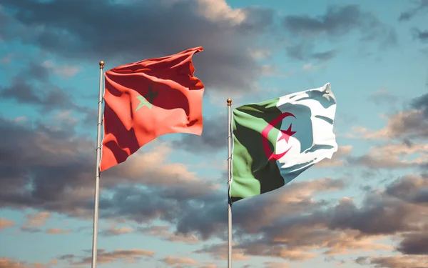 Prachtige Nationale Vlaggen Van Marokko Algerije Samen Achtergrond Kunstwerkconcept — Stockfoto