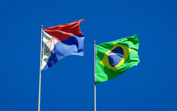 아름다운 국가의 깃발인 마르텐과 브라질이 하늘을 배경으로 — 스톡 사진