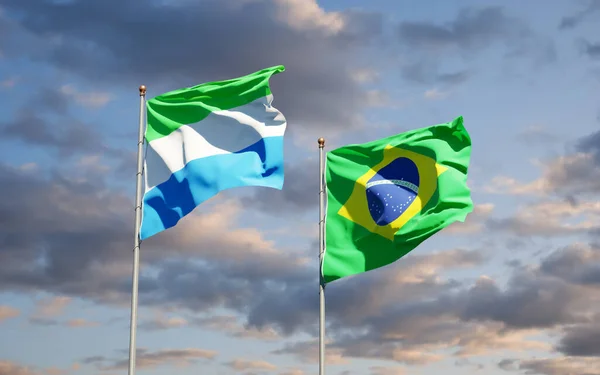 아름다운 시에라리온과 브라질의 깃발들이 하늘을 배경으로 — 스톡 사진