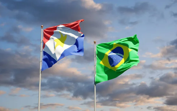 아름다운 국가의 깃발인 사바와 브라질이 하늘을 배경으로 — 스톡 사진