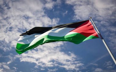 Filistin 'in güzel ulusal bayrağı gökyüzü arka planında dalgalanıyor. Düşük açılı yakın plan Filistin bayrağı 3D sanat eseri.