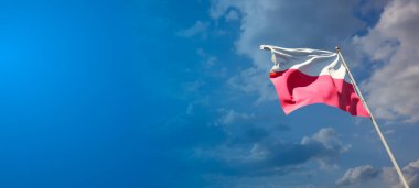 Boş alanı olan Polonya 'nın güzel ulusal bayrağı. Polonya bayrağı 3D metin için geniş arkaplanda.