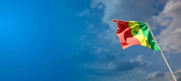 Hermosa Bandera Del Estado Senegal Con Espacio Blanco Bandera Senegal —  Fotos de Stock