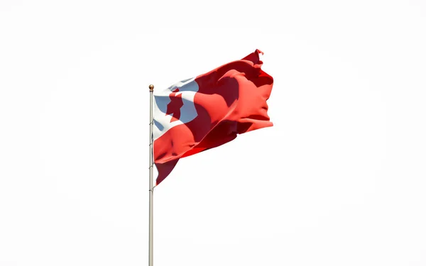 Gyönyörű Nemzeti Zászló Tonga Fehér Háttérrel Izolált Közelkép Tonga Zászló — Stock Fotó