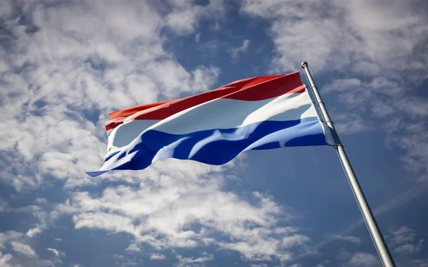 Bella Bandiera Nazionale Stato Dei Paesi Bassi Che Sventola Sullo — Foto Stock