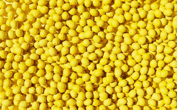 Muchos Limones Amarillos Jugosos Yacen Juntos Gran Montón Fruta Limón —  Fotos de Stock