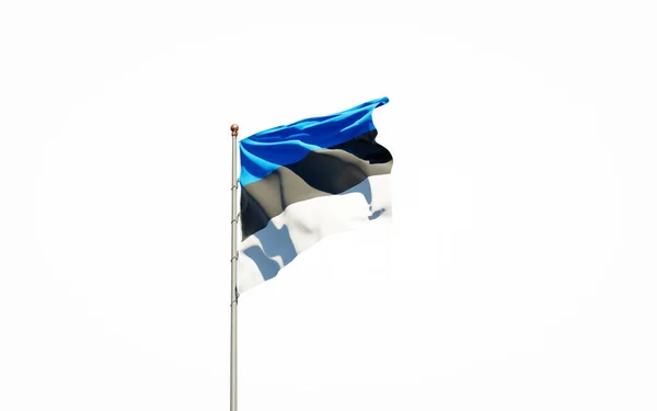 Bela Bandeira Nacional Estado Estônia Fundo Branco Isolado Close Bandeira — Fotografia de Stock