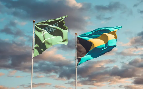 Flaggor Från Saudiarabien Och Bahamas Konstverk — Stockfoto